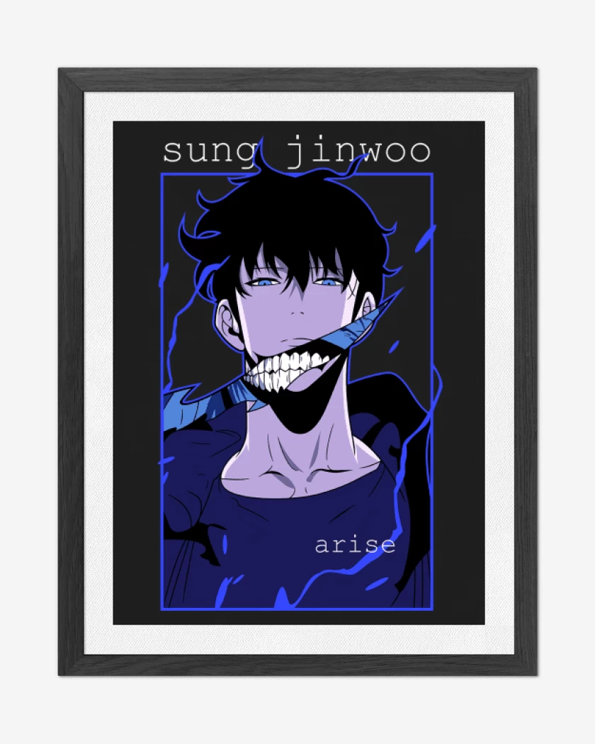 Cuadro decorativo Solo Leveling Sung Jinwoo