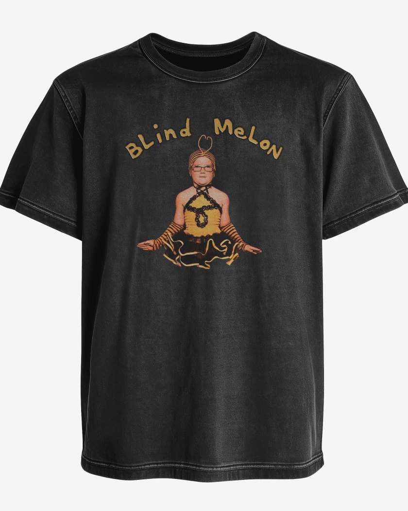 Polera desgastada Blind Melon