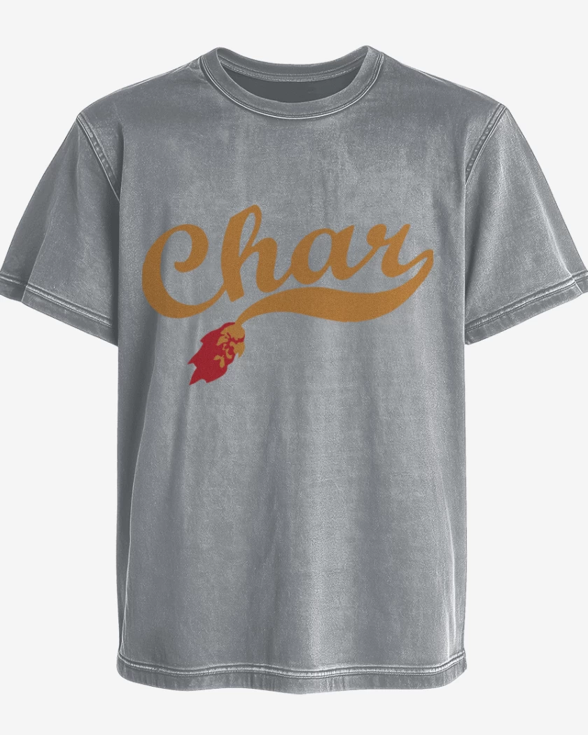 Polera desgastada Gris Melange de Char