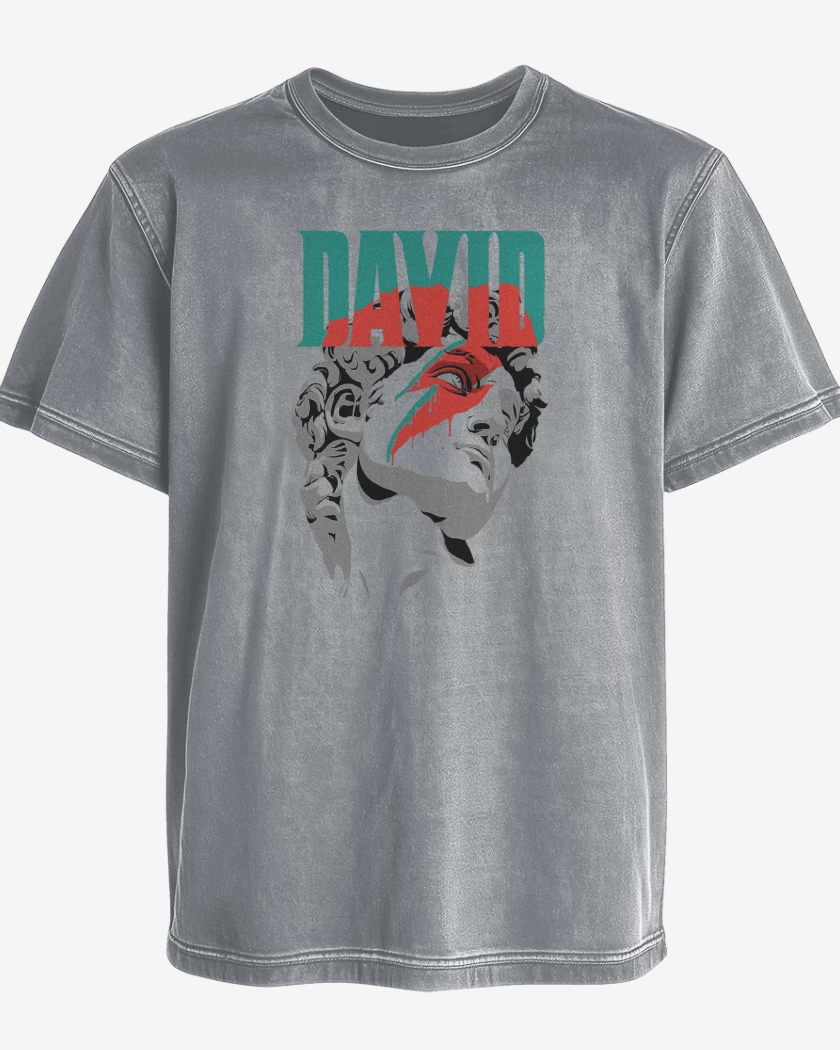 Polera desgastada Gris Melange de David