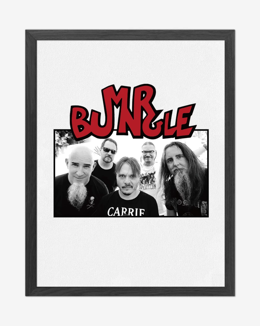 Cuadro decorativo Mr Bungle Banda