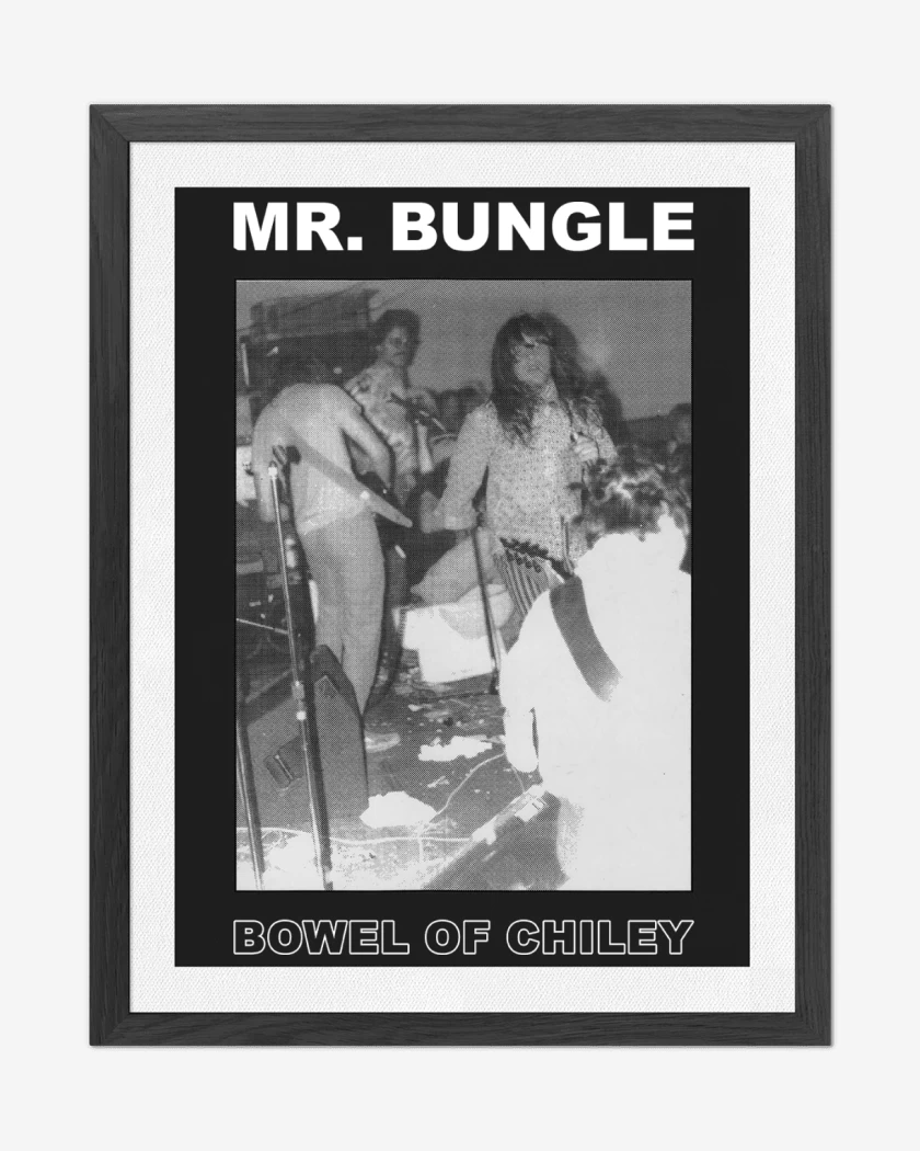 Cuadro decorativo Mr Bungle Bowel of Chiley N