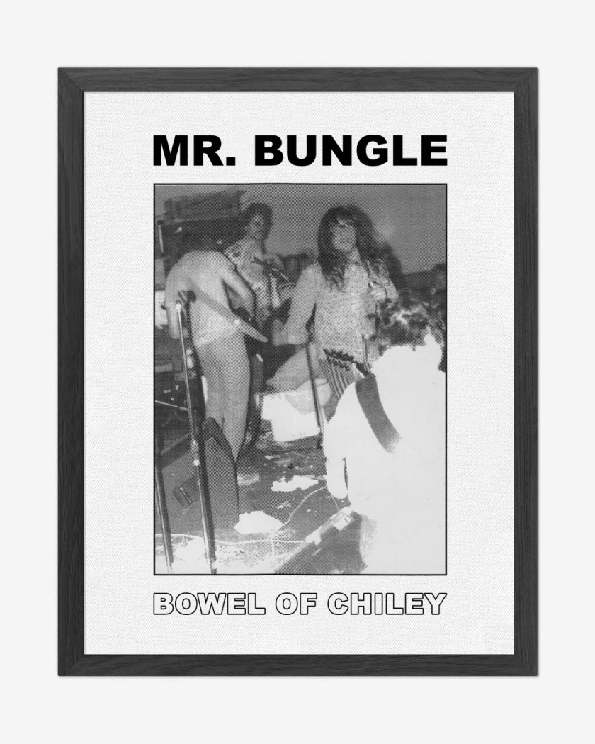 Cuadro decorativo Mr Bungle Bowel of Chiley