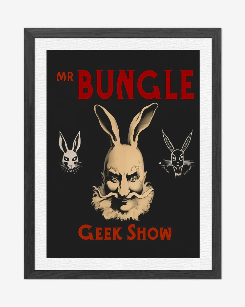 Cuadro decorativo Mr Bungle Geek Show