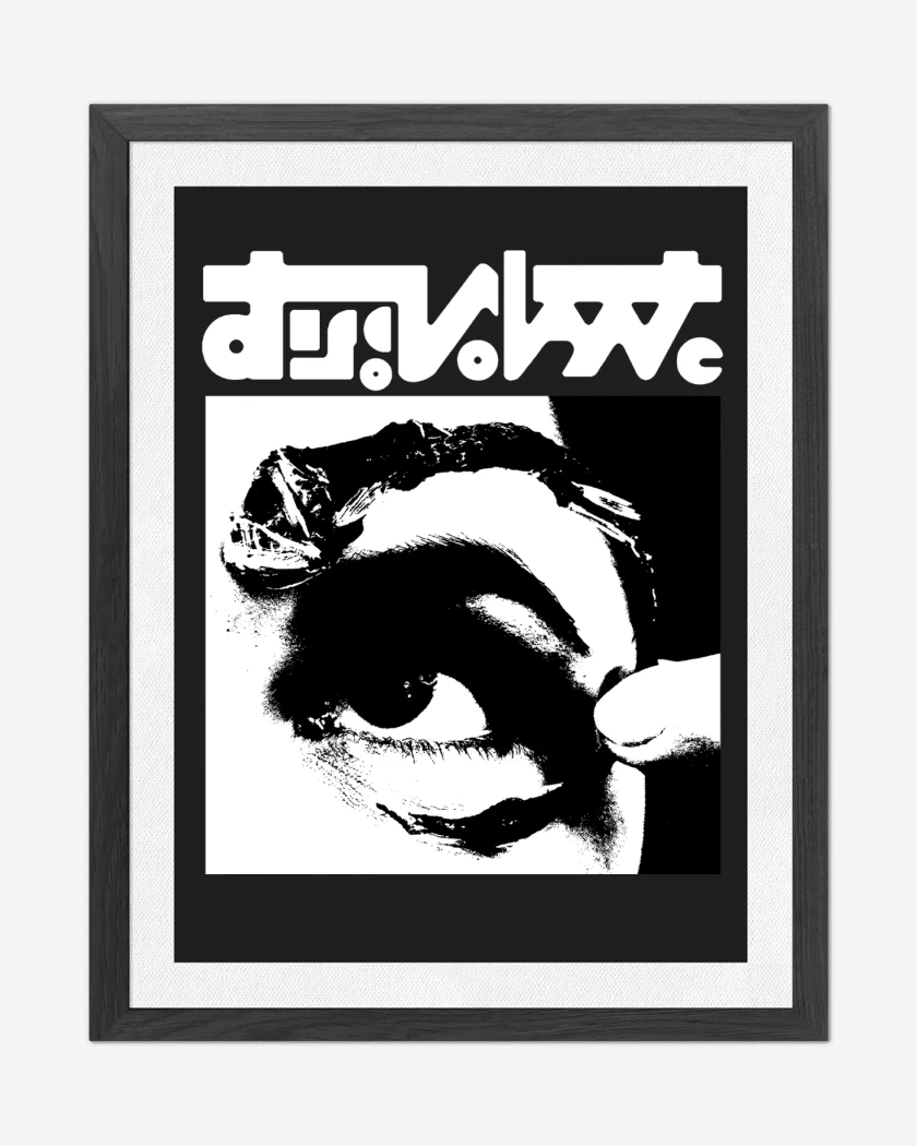 Cuadro decorativo Mr Bungle Disco Volante B
