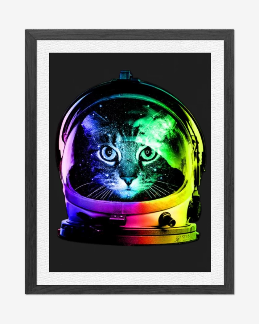 Cuadro decorativo Gatito espacio