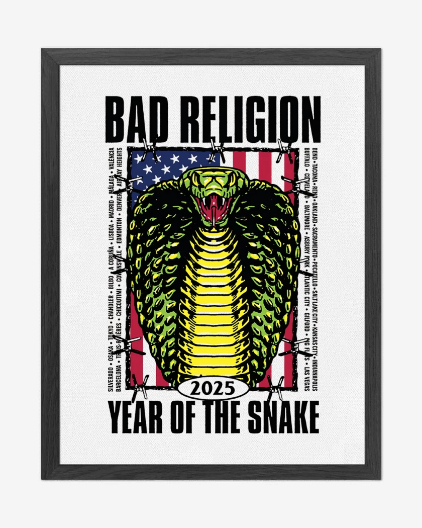 Cuadro decorativo Blanco de Bad Religion Snake 