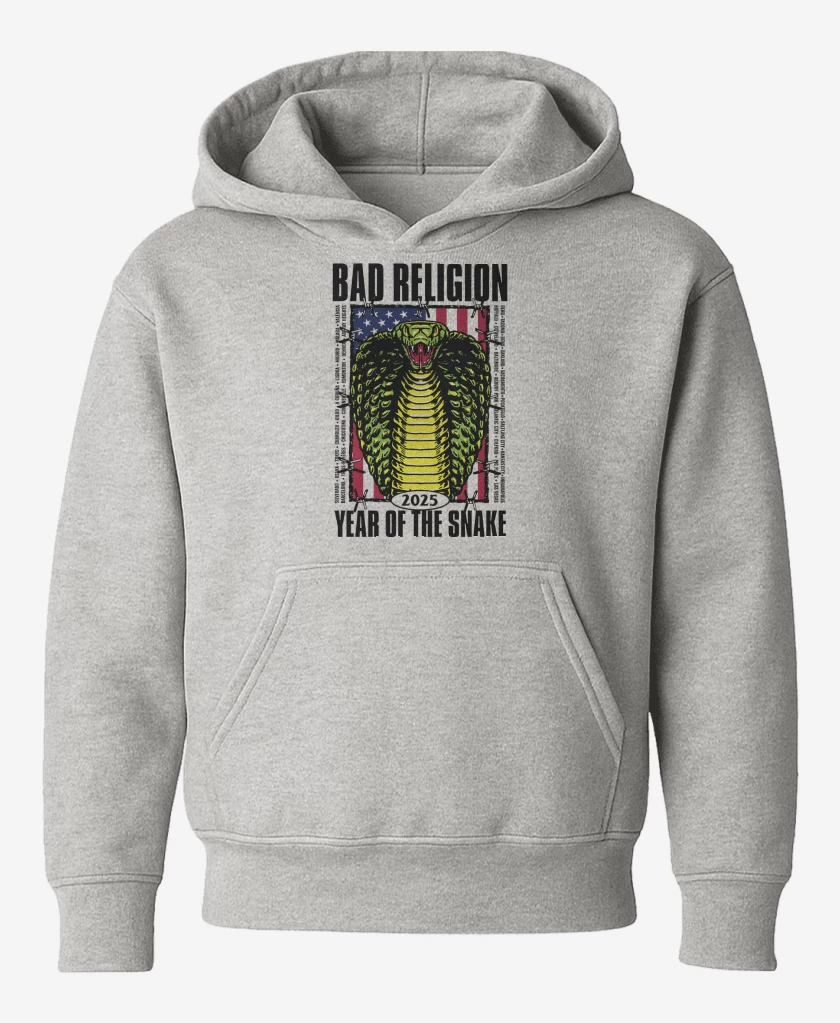 Poleron de niño Gris Melange de Bad Religion Snake 