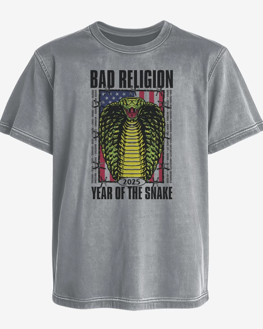 Polera desgastada Gris Melange de Bad Religion Snake 