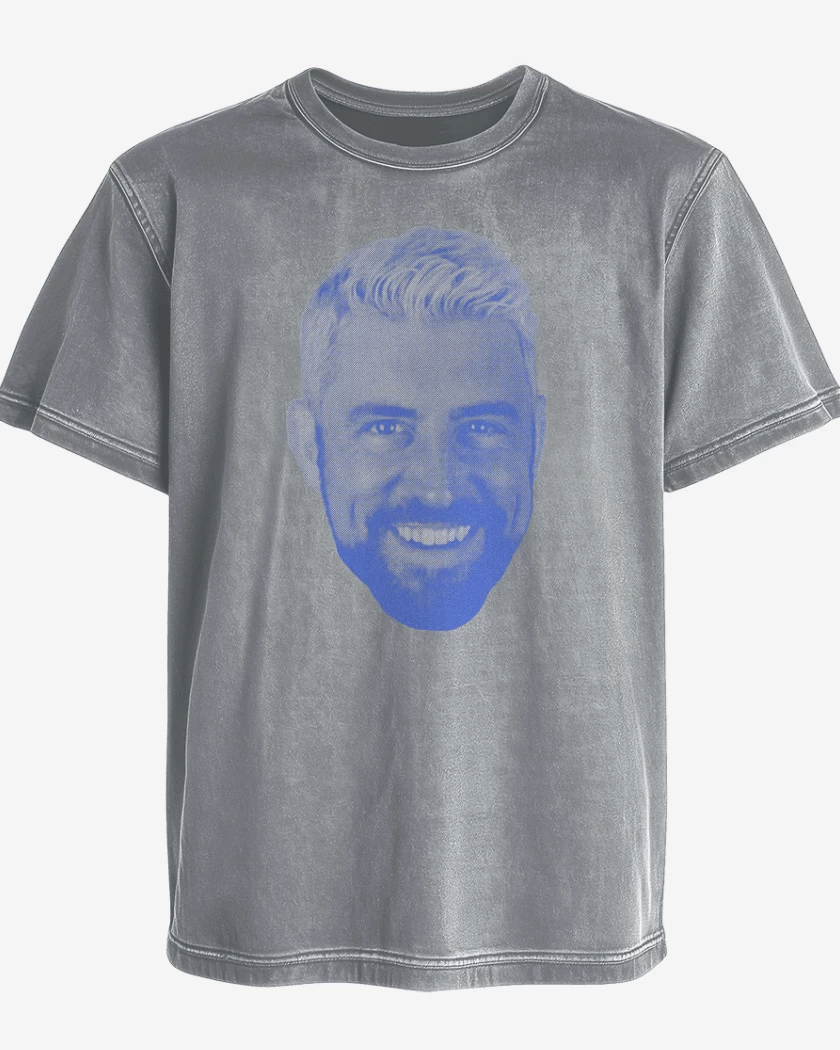 Polera desgastada Gris Melange de I Believe in Joe Hendry