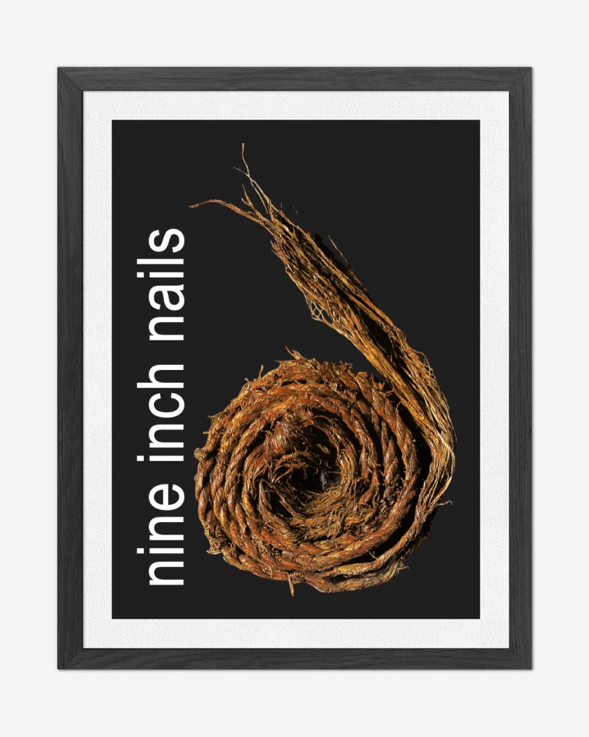 Cuadro decorativo NIN Further Down