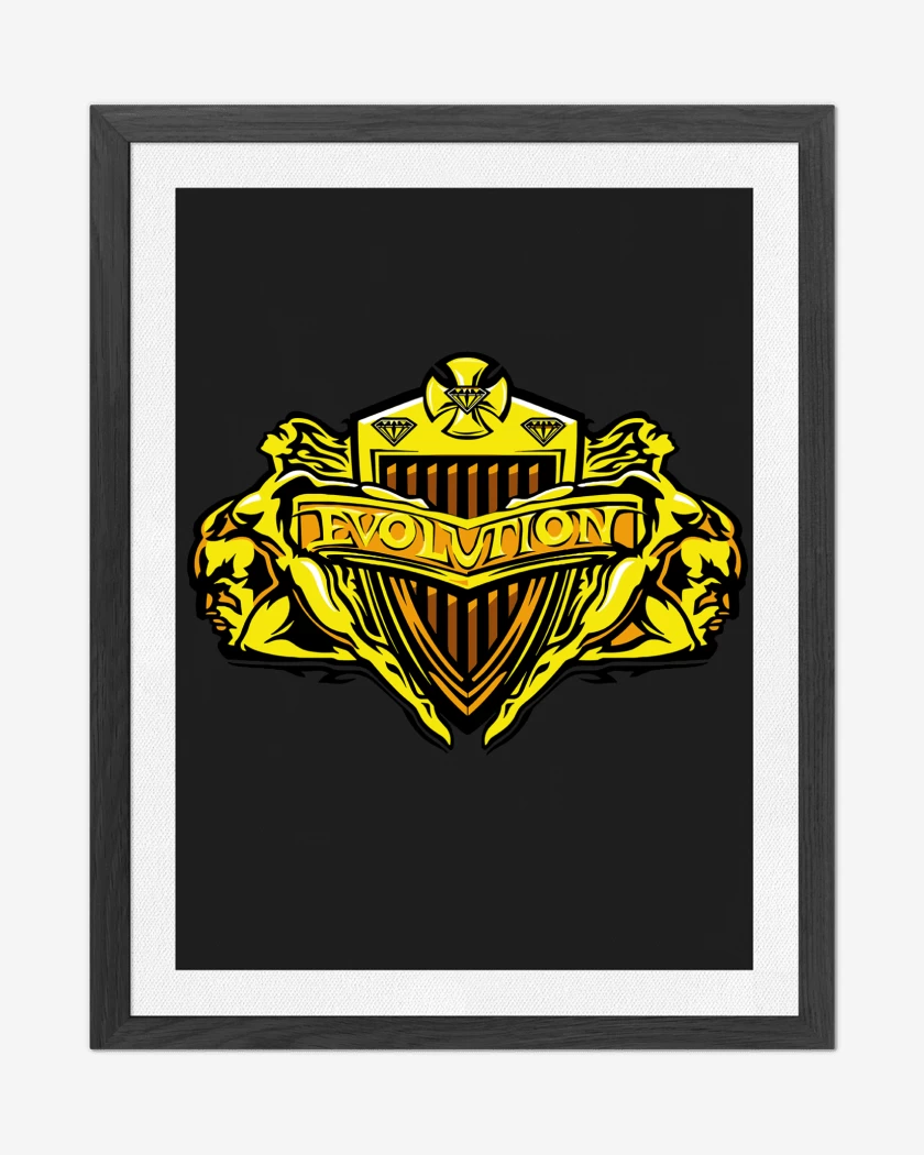 Cuadro decorativo WWE Evolution