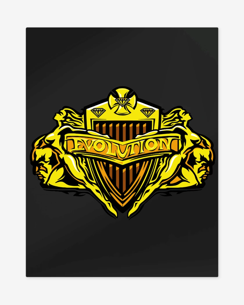 Print metalico Negro de WWE Evolution