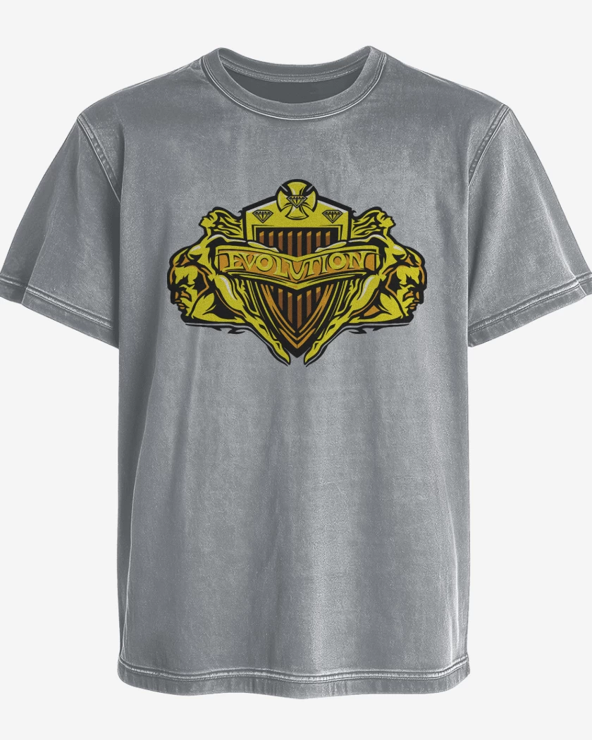 Polera desgastada WWE Evolution