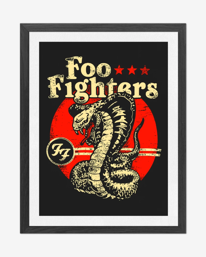 Cuadro decorativo Negro de Foo Fighters Cobra