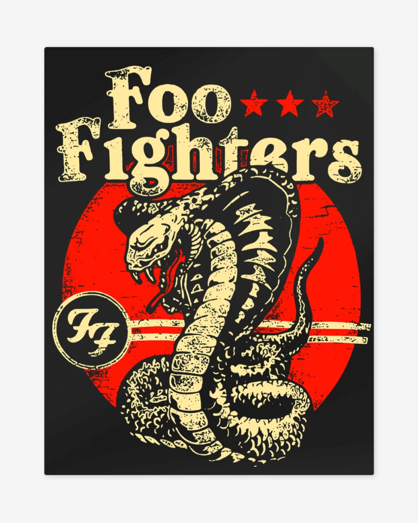 Print metalico Foo Fighters Cobra
