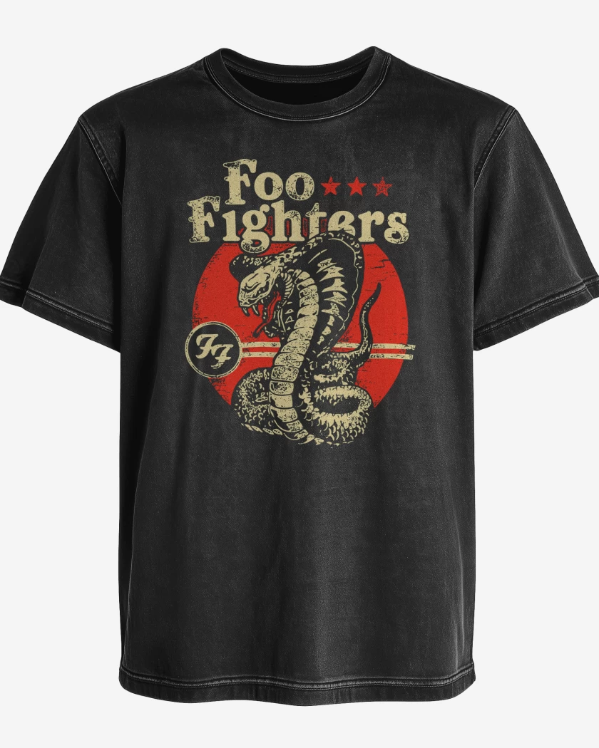 Polera desgastada Foo Fighters Cobra