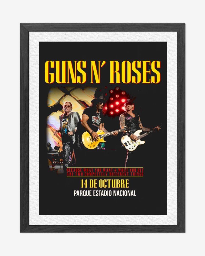 Cuadro decorativo Guns n Roses Chile 2025