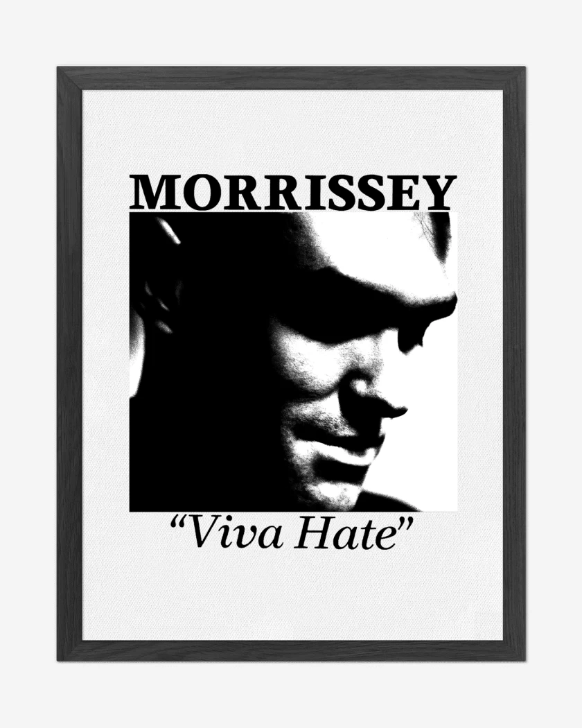 Cuadro decorativo Morrissey Viva Hate N