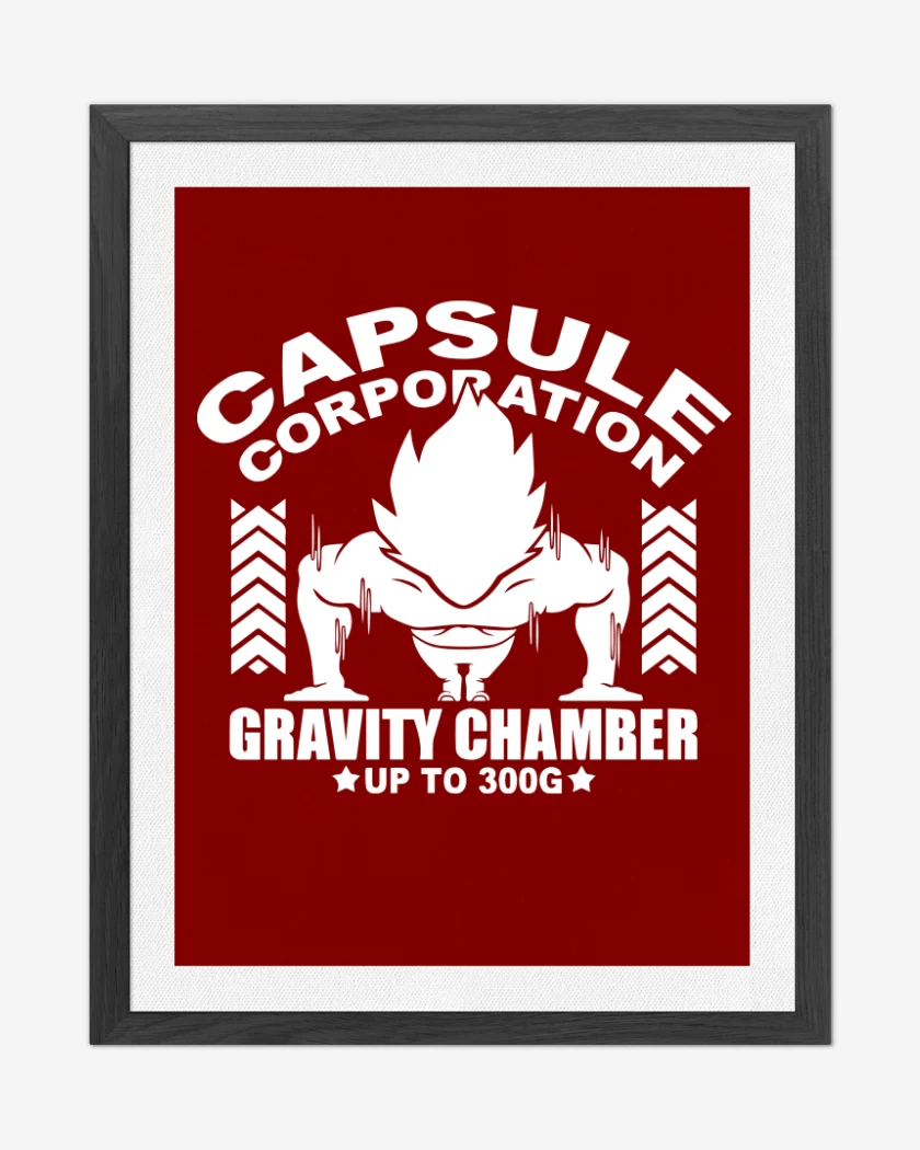 Cuadro decorativo Gravity Chamber