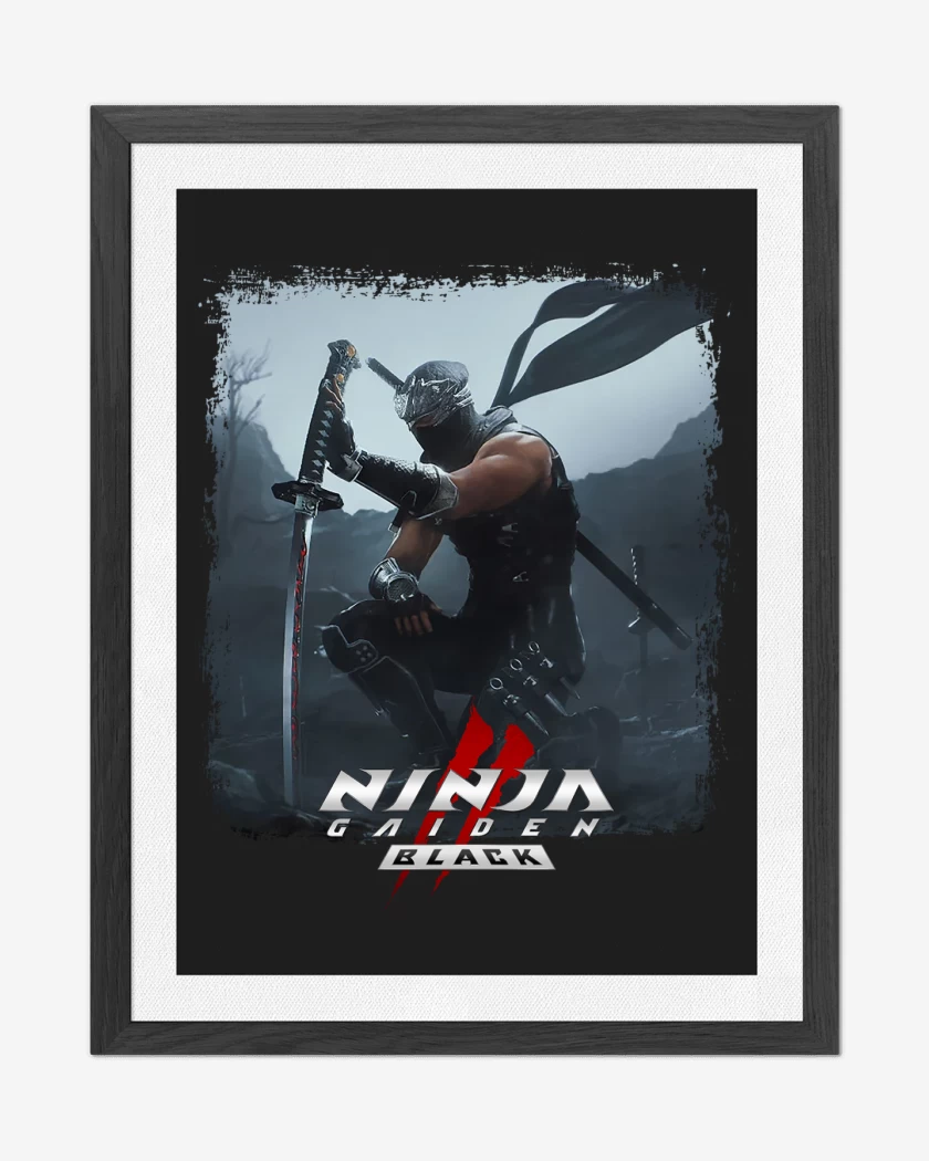 Cuadro decorativo Ninja Gaiden II Black