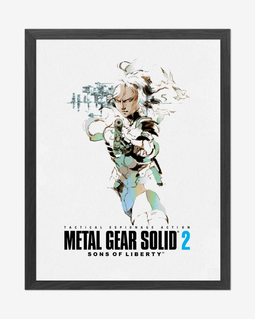 Cuadro decorativo Metal Gear Solid 2 Raiden