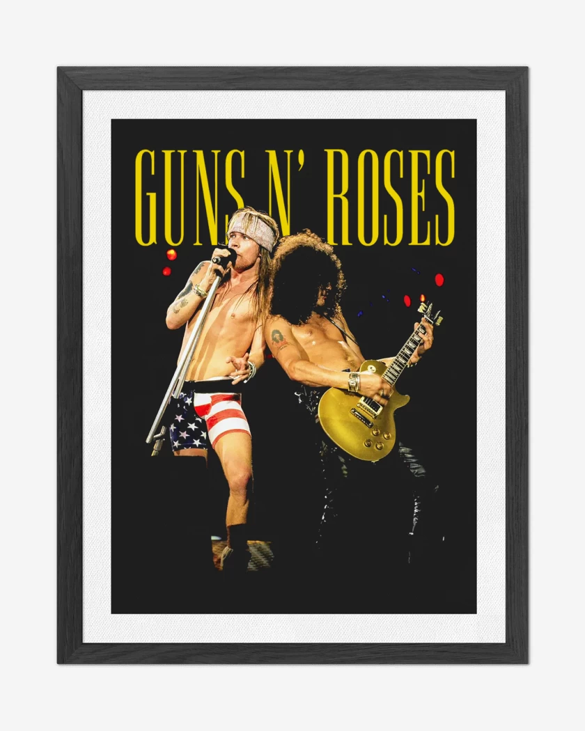 Cuadro decorativo Guns n Roses 