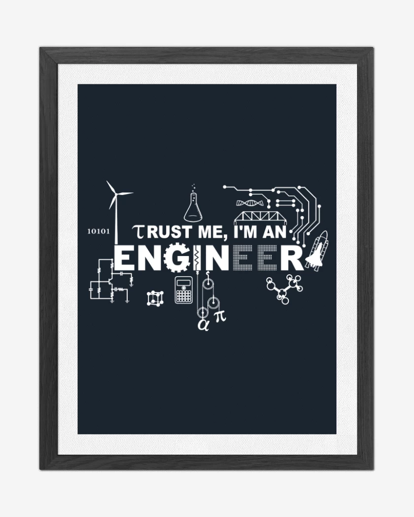 Cuadro decorativo Im an Engineer