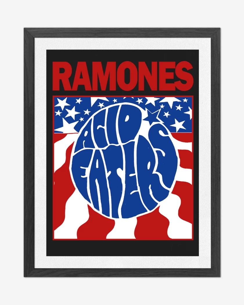 Cuadro decorativo Ramones Acid Eaters v2
