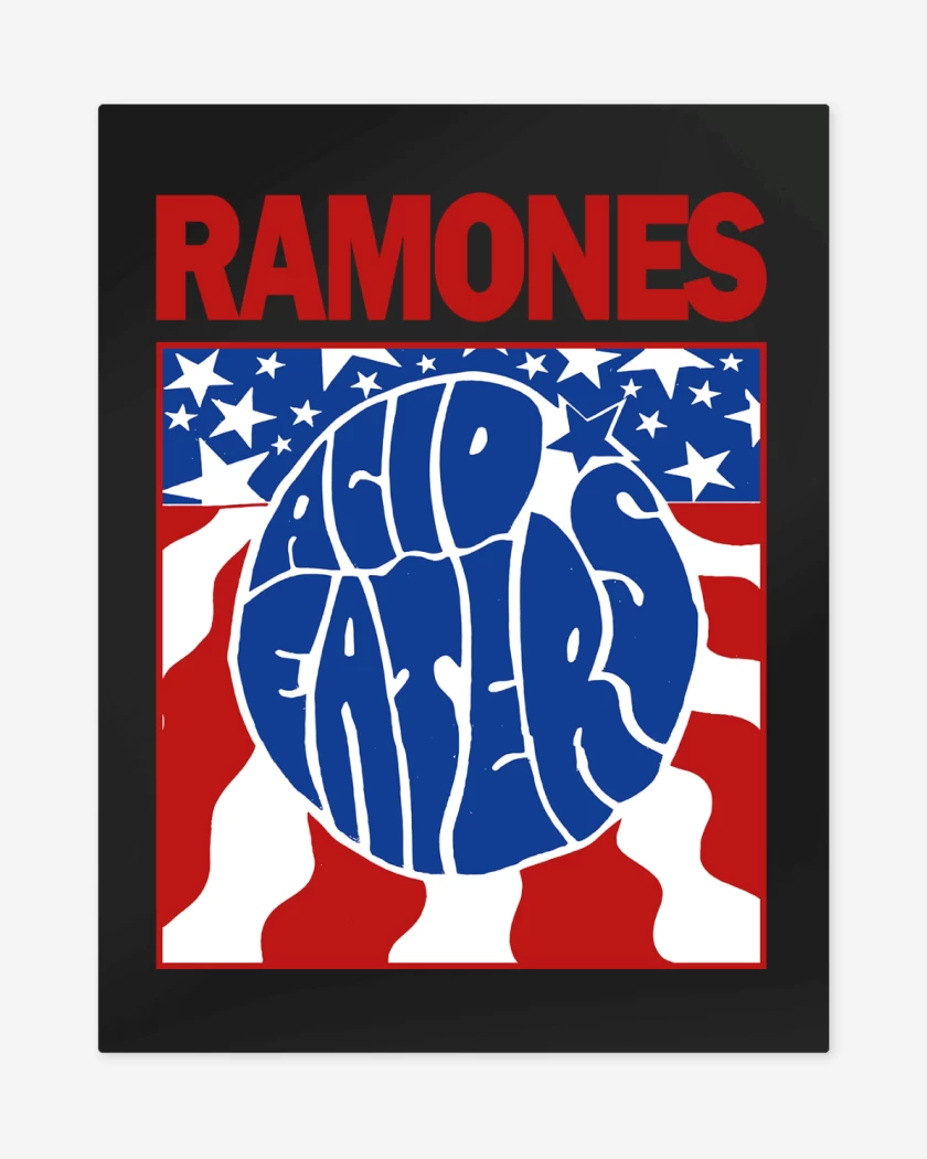 Print metalico Ramones Acid Eaters v2