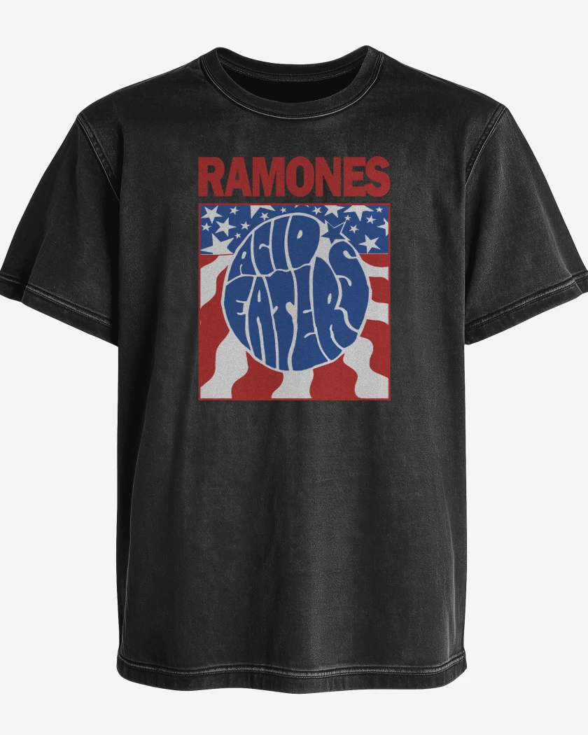 Polera desgastada Ramones Acid Eaters v2