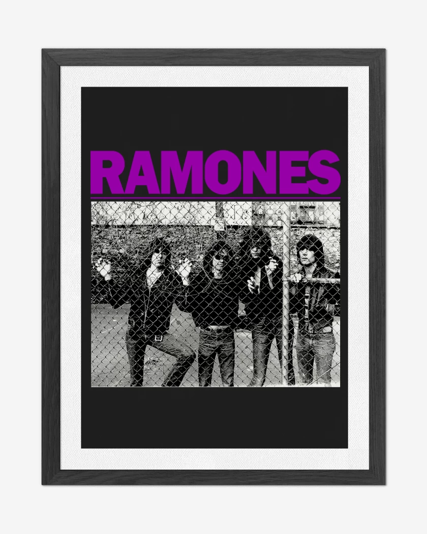 Cuadro decorativo Ramones DEMOS