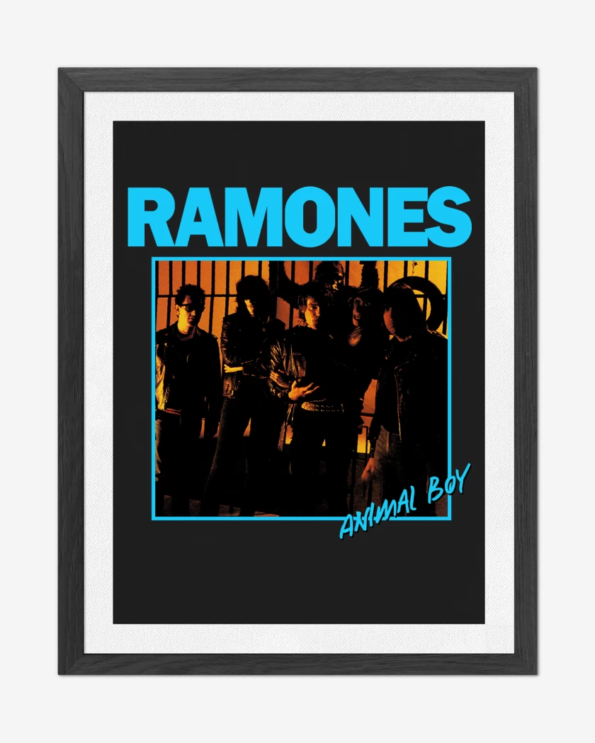 Cuadro decorativo Ramones Animal Boy