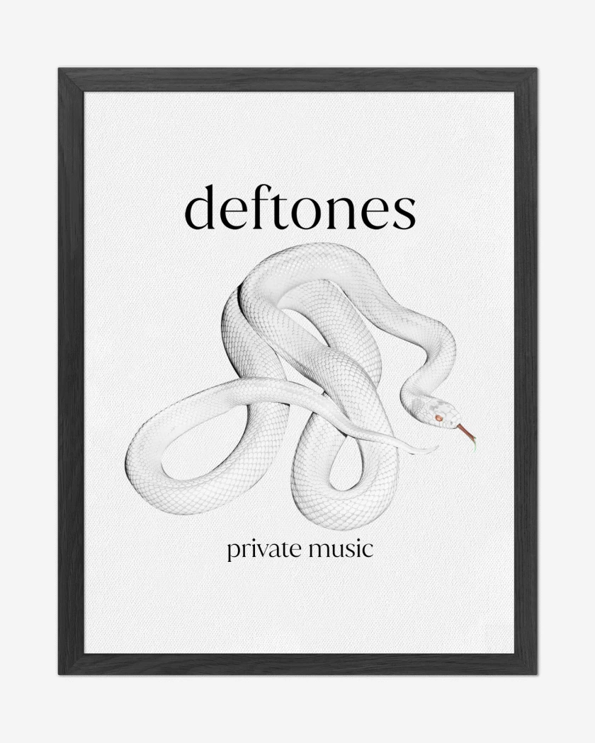 Cuadro decorativo Deftones Private Music