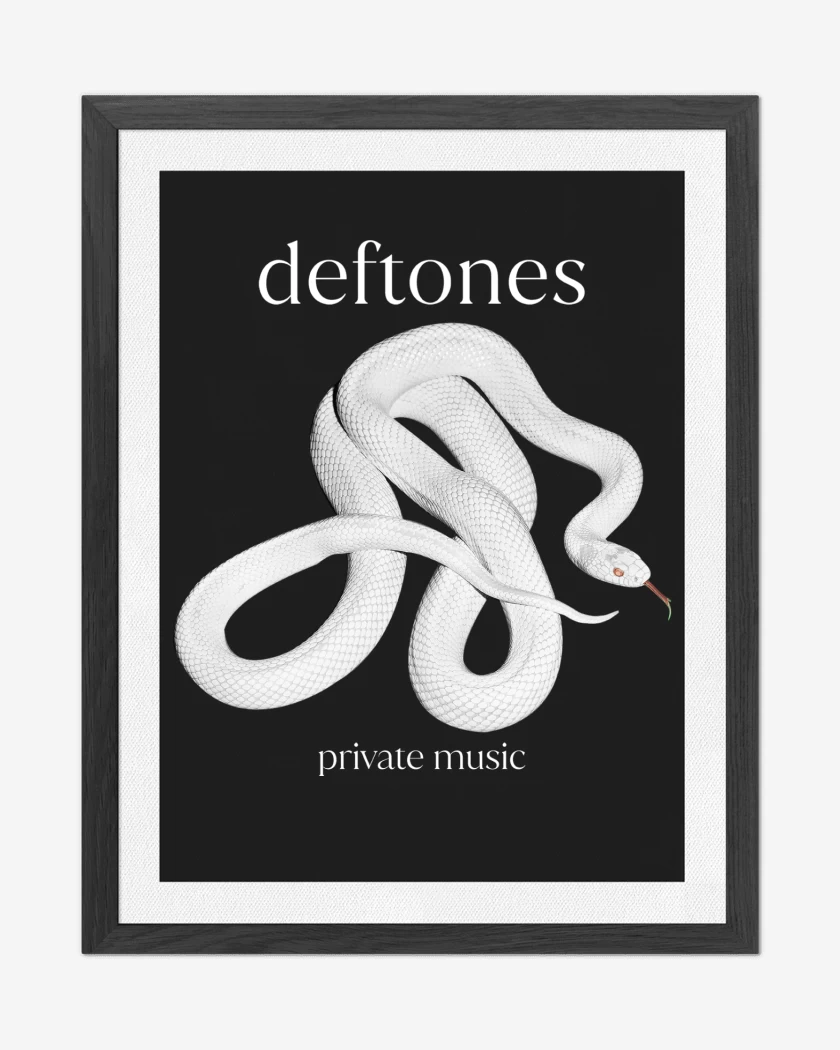Cuadro decorativo Deftones Private Music N