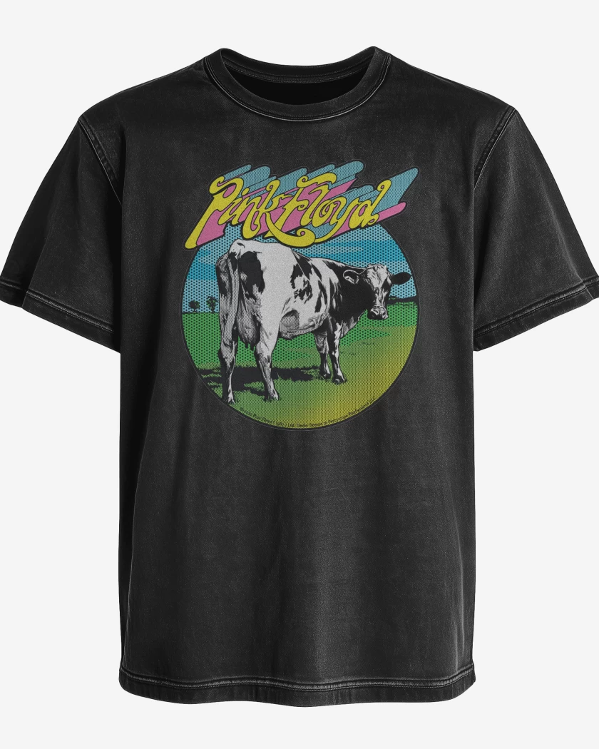 Polera desgastada Pink Floy Atom Heart Mother 