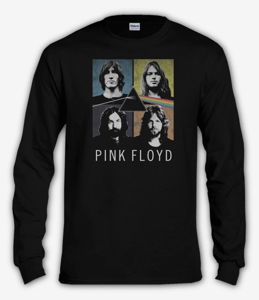 Polera manga larga Dark Side of the Floyd