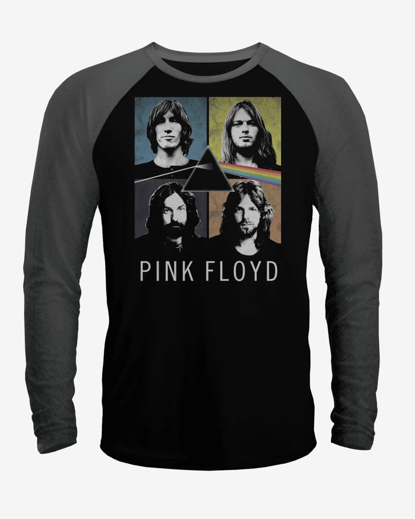 Polera Raglan Dark Side of the Floyd