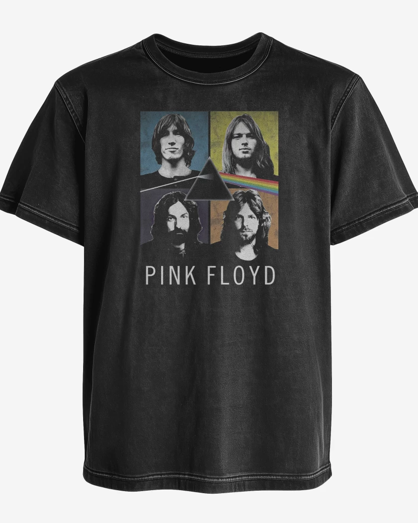 Polera desgastada Dark Side of the Floyd