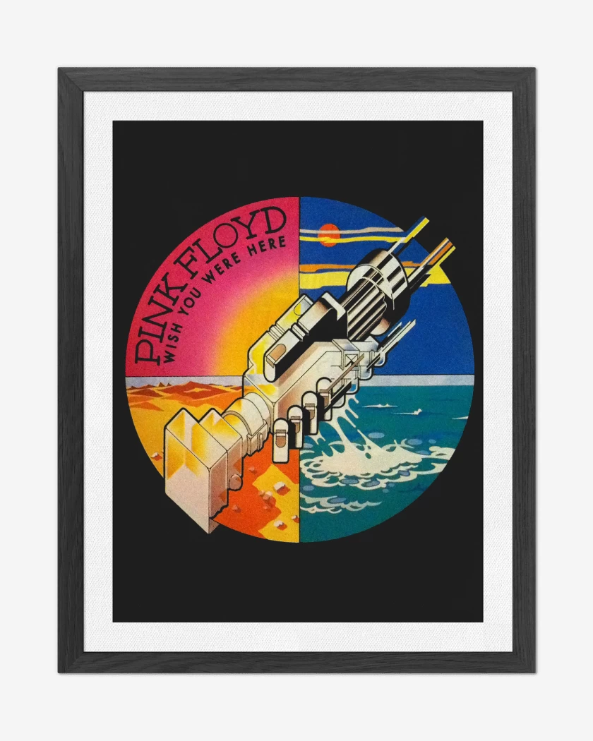 Cuadro decorativo Pink Floyd Wish You