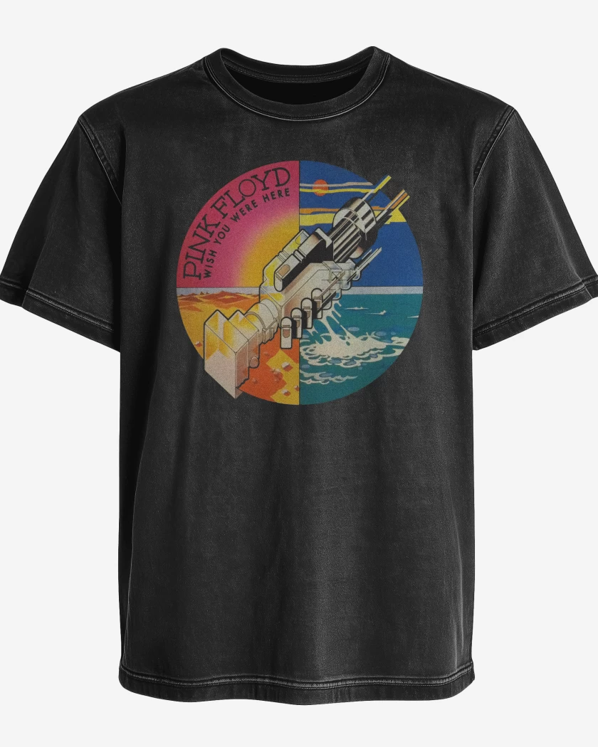Polera desgastada Pink Floyd Wish You