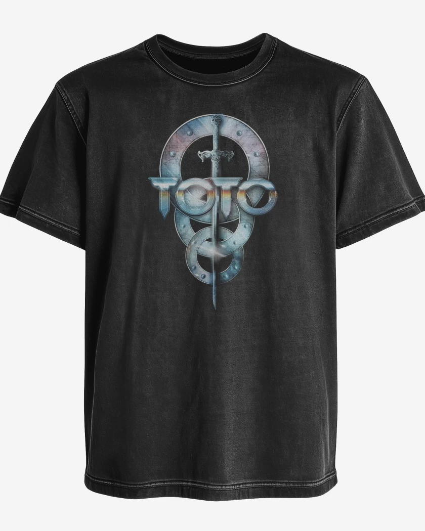 Polera desgastada Toto Logo II