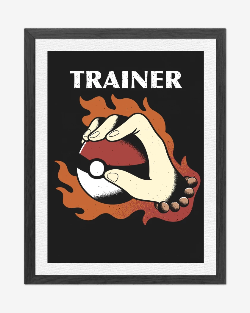Cuadro decorativo Entrenador Pokemon