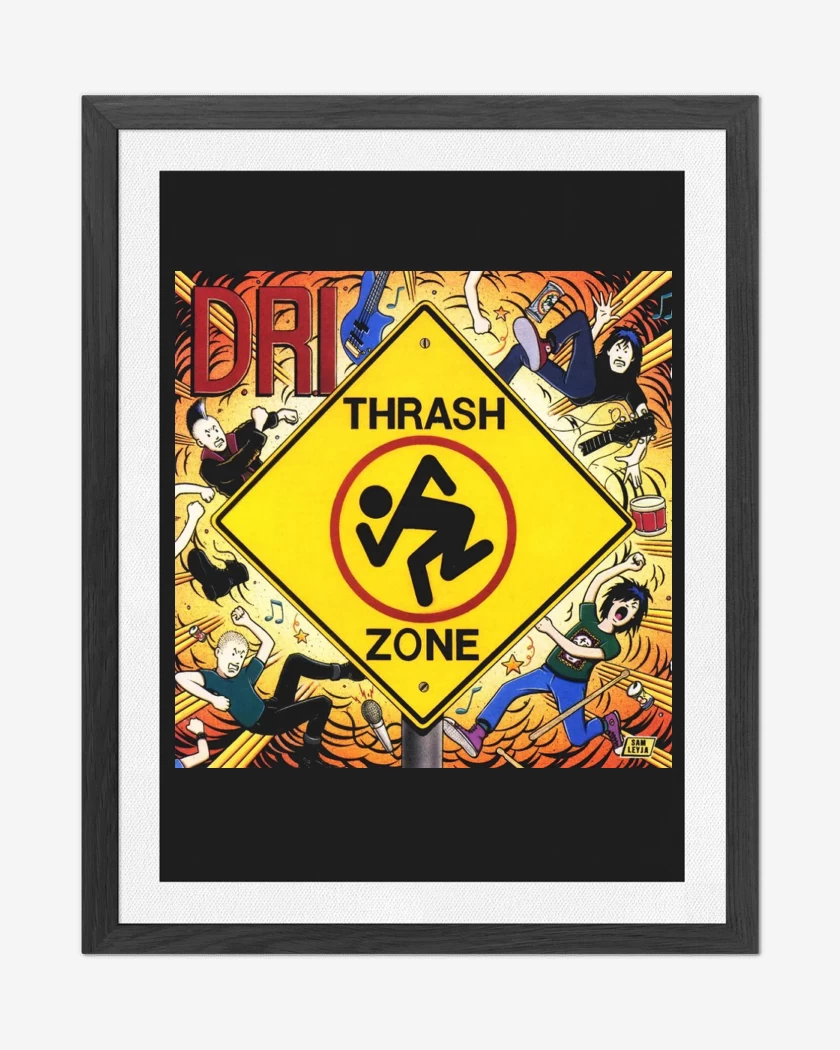 Cuadro decorativo D.R.I. Thrash Zone