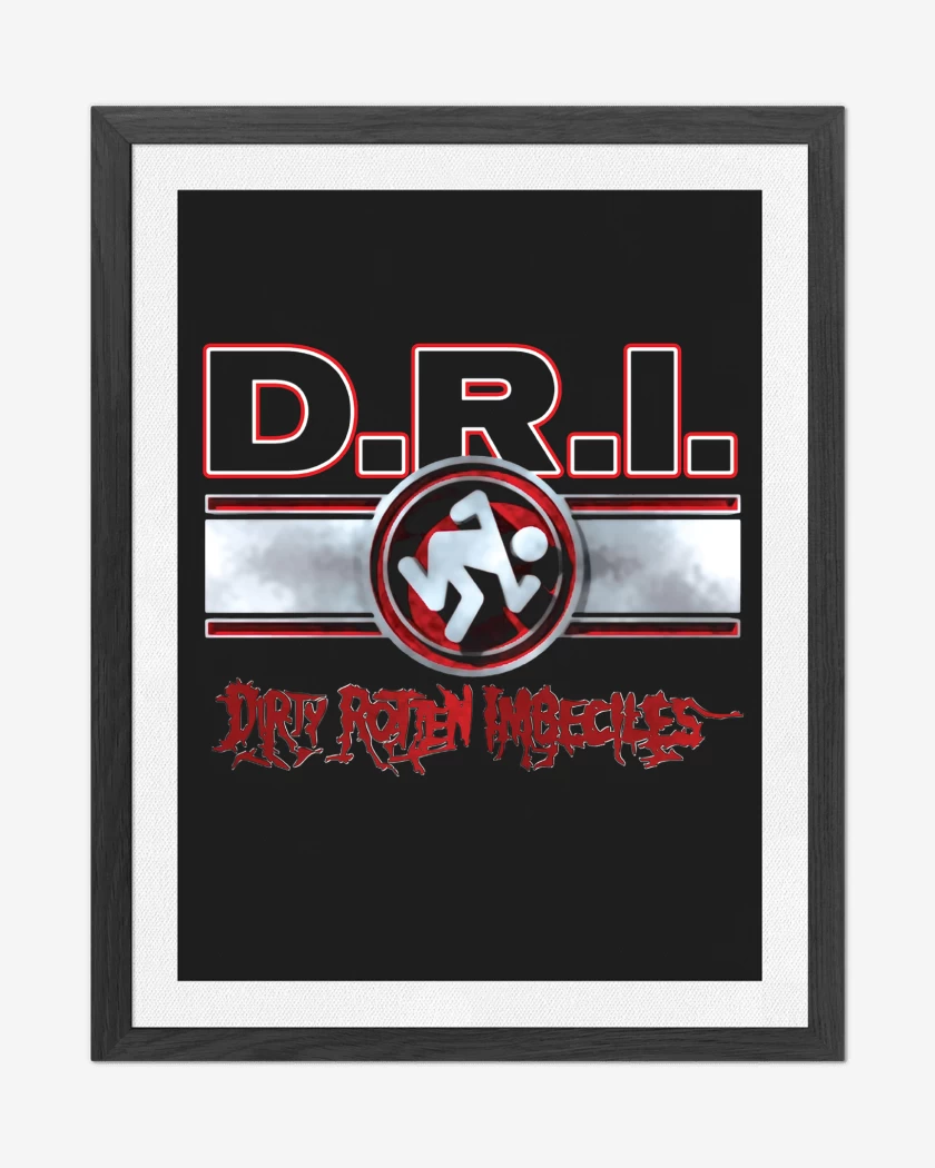 Cuadro decorativo D.R.I DIRTY ROTTEN IMBECILES