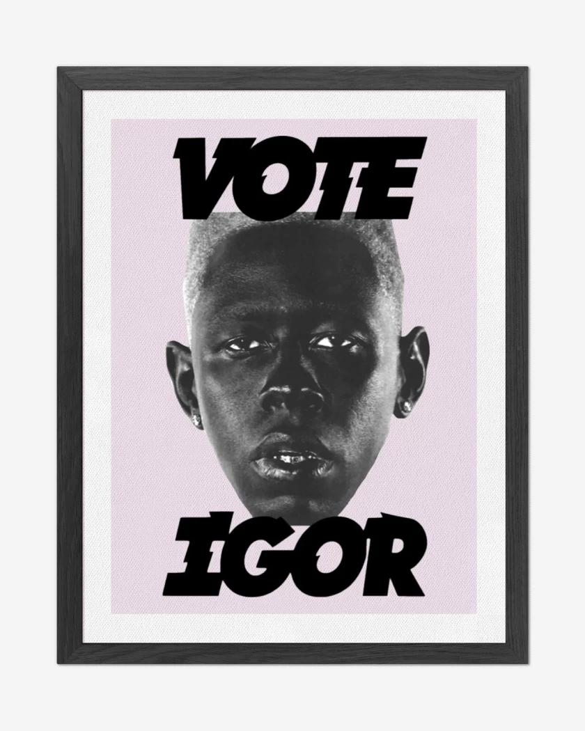 Cuadro decorativo Rosa Pastel de Tyler The Creator Vote Igor