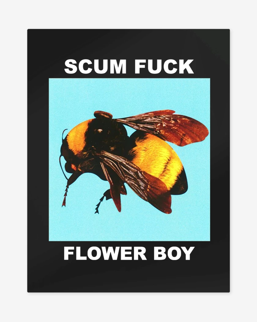 Print metalico Tyler the Creator Flower Boy