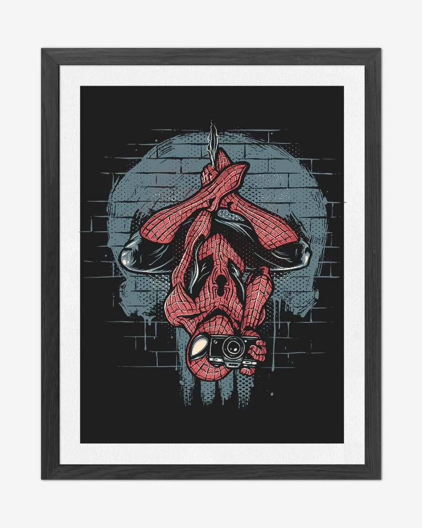 Cuadro decorativo Aracnopunisher