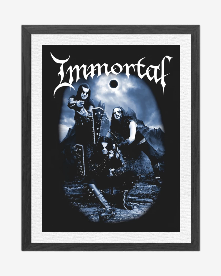 Cuadro decorativo Immortal Band