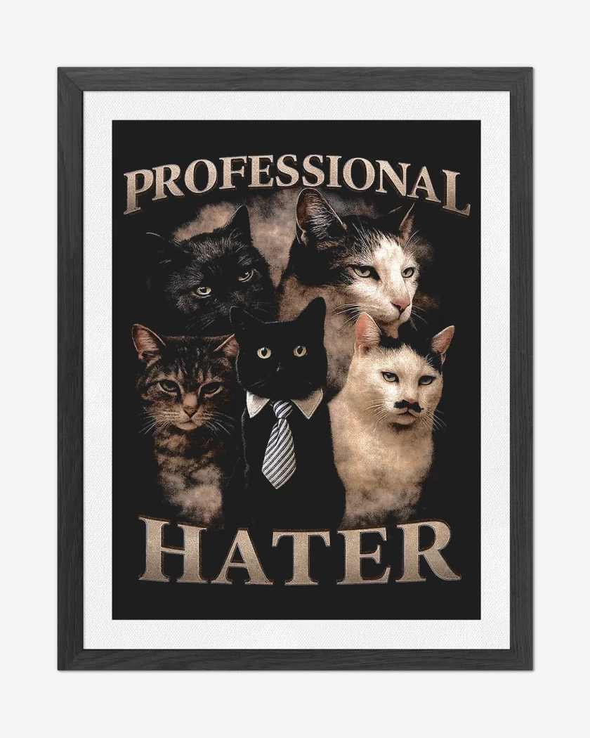 Cuadro decorativo Hater Profesional